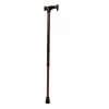 Walking Stick Single Leg PC