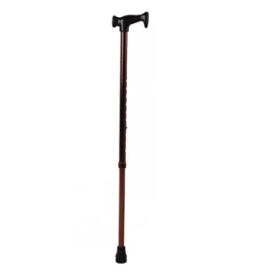 Walking Stick Single Leg PC